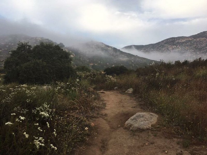 The early-morning view along a hiking trail in the lowlands of Rancho La Puerta. 
