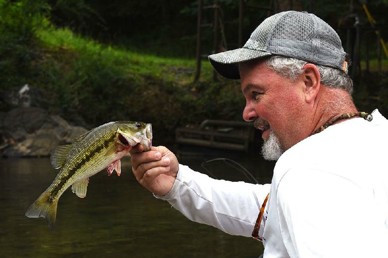 Joe Volpe of Little Rock admires one of the Kentucky bass he caught Monday while fishing with his son John Volpe and the author on the Caddo River. For more photos from the fishing trip, visit arkansasonline.com/84river/ 