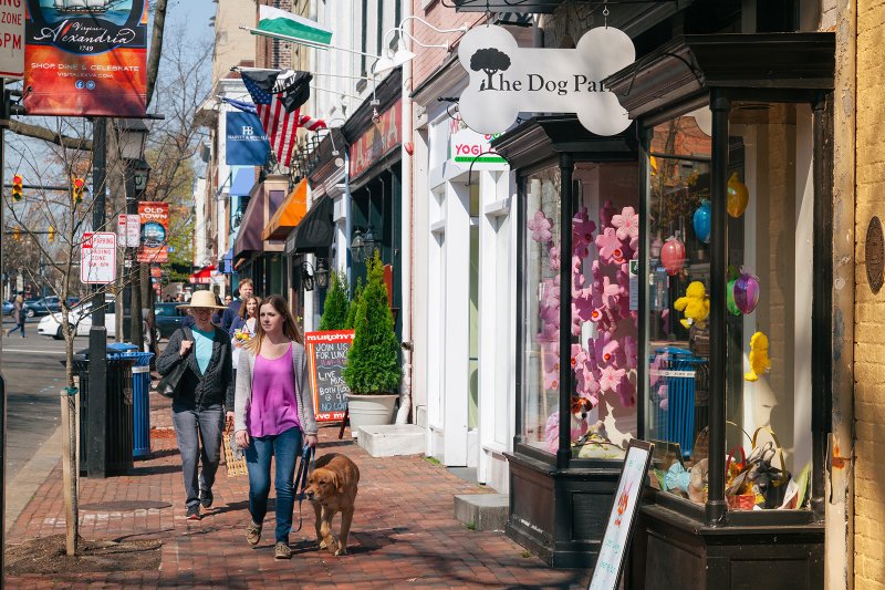 A dog takes its human for a walk on King Street. Alexandria is one of America's most dog-friendly cities. (Matt Chenet/Visit Alexandria/TNS)