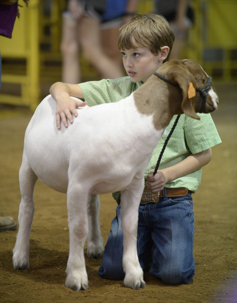 File Photo/ANDY SHUPE Kai Thomsen, 10, of Farmington waits with his goat, Max, who won Market Goat Grand Champion during last year's Washington County Fair 4-H and FFA Livestock Auction.