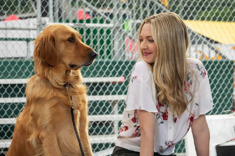 Very good boy Enzo (voiced by Kevin Costner) is keeping his eye on Eve (Amanda Seyfried), a potential love match for his Formula One race car driver buddy in Simon Curtis’ The Art of Racing in the Rain. 