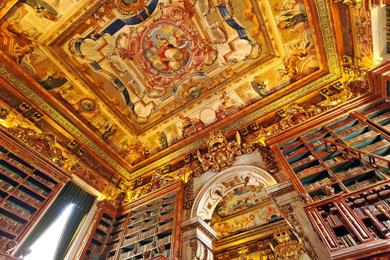 Coimbra Universitys King Joaos Library, in Portugal, has a spectacular ceiling and is one of Europes best surviving Baroque libraries.