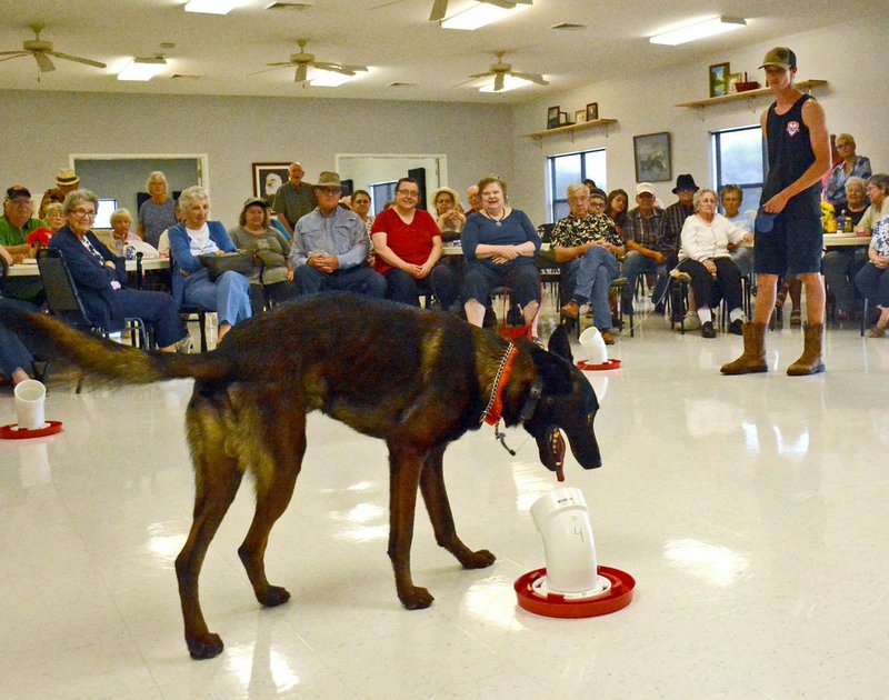 Janelle Jessen/Herald-Leader Gear sniffs out drugs with the help of his handler Mike Hayes during a demonstration at the Senior Activity and Wellness Center on Aug. 6. Joint Forces K9 did a training demonstration at the center.