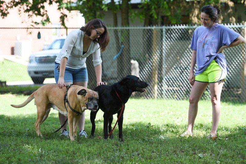 File photo/NWA Democrat-Gazette/J.T. WAMPLER Janna Brandon (left) and Paulina Reece, both of Fayetteville, let their dog Annabelle (left) visit with Loki at the Fayetteville Animal Shelter on June 18. The shelter will waive adoption fees Friday and Saturday.