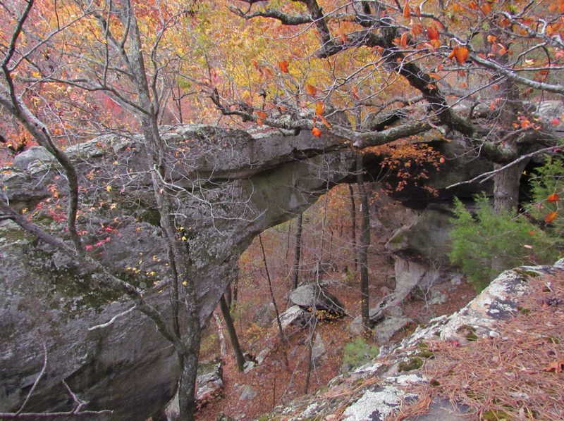 Buzzard Roost arch in the Ozark-St. Francis National Forest near Pelsor is one the state's largest natural bridges.