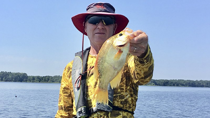 David Sisson of Magnolia, a frequent angler at nearby Lake Columbia, shows off the extra rare golden crappie he caught while fishing at the lake in July. 