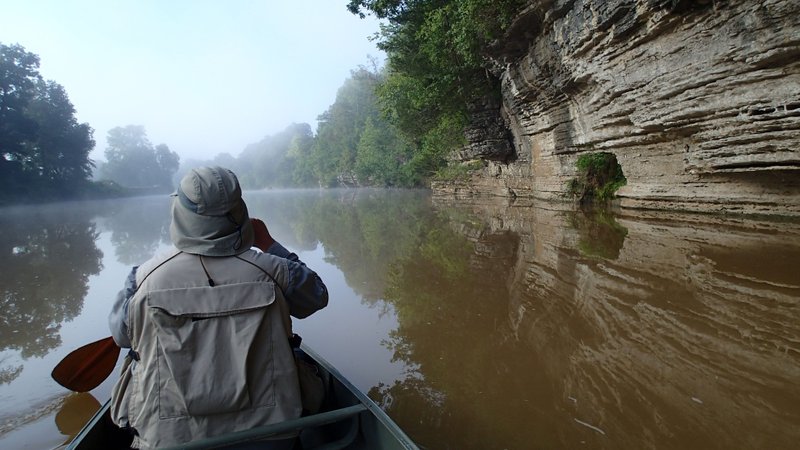 A canoe journey to the Beaver Lake swamp on the War Eagle arm is an easy trip. Joe Neal enjoys a misty morning on the War Eagle River July 12 2019 en route to the backwater.