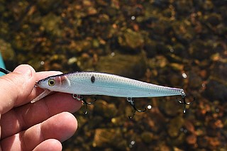 best dragonflight fishing pole Fishing Pole - Item