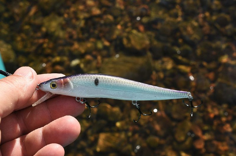 A silver jerkbait delivered with several nice smallmouths on the Buffalo River. 