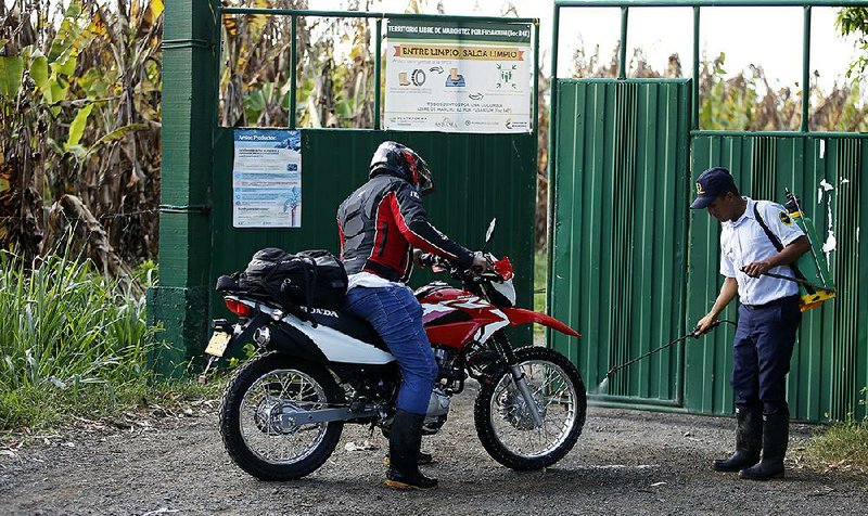 A security guard decontaminates the tires of an employee’s motorcycle last week at the entrance of a quarantined banana plantation near Riohacha, Colombia. A fungus that has ravaged banana trees in Asia and elsewhere has turned up in Colombia, one of the top banana exporters in Latin America. 