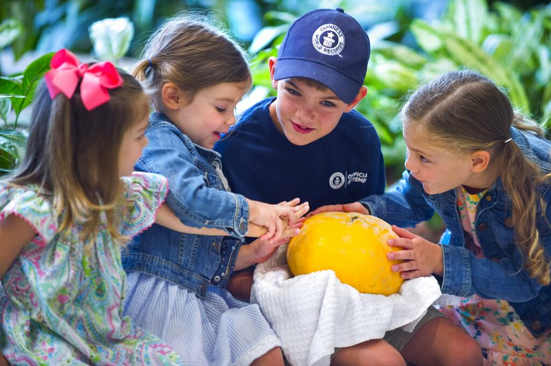 From left, Cora Dutschke, 3, Audrey Brouillette, 3, Darrell Brouillette, 8, and Emily Brouillette, 6, grandchildren of Slidell's Mary Beth and Doug Meyer, wear intrigued looks as they put their hands on the new world-record grapefruit, before the Meyers were presented with framed certificates from the Guinness Book of World Records by Louisiana Agriculture and Forestry Commissioner Mike Strain, for the seven pound, 14.64 ounce grapefruit that they grew, Tuesday, Aug. 27, 2019 in a ceremony held at LDAF offices in Baton Rouge, La. The grapefruit was 13.6 ounces (385.6 grams) heavier and 1¼ inches (3.2 centimeters) bigger around than the 2006 record, set in Brazil. (Travis Spradling/The Advocate via AP)