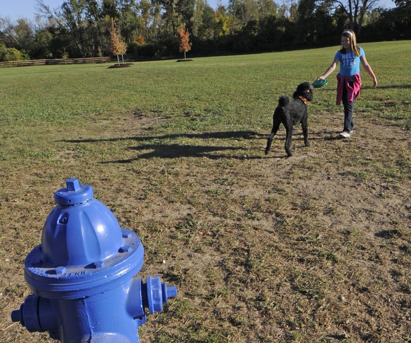 People dogs urged to avoid pond at Fayetteville park Northwest