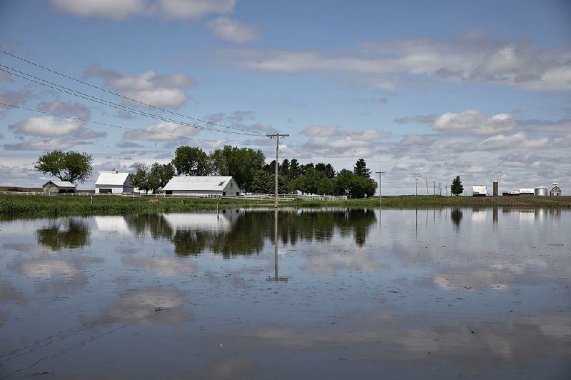 The U.S. Department of Agriculture’s revised forecast on farm income suggests farmers will have their most profitable year since 2014. 