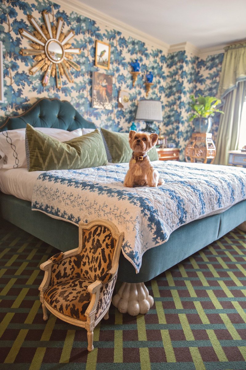 Alex Papachristidis's dog Teddy uses an antique miniature chair to help get on the bed -- from Susanna Salk's book "At Home With Dogs and Their Designers." (Photo Stacey Bewkes via The Washington Post)
