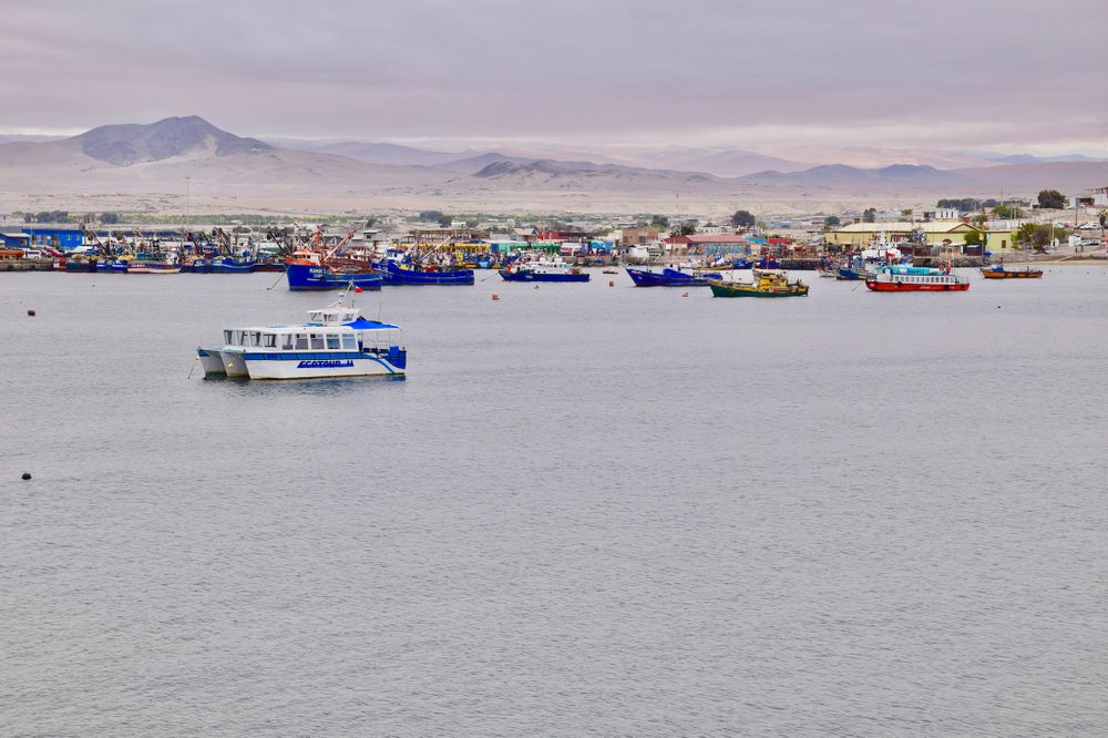 The fishing town of Caldera is one of the few coastal population centers in the southern Atacama Desert.(Photo by Mark Johanson via TNS/Chicago Tribune)