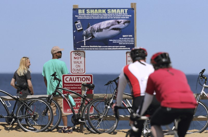 FILE - In this May 22, 2019 file photo, a couple stands next to a shark warning sign while looking at the ocean at Lecount Hollow Beach in Wellfleet, Mass. Local chamber of commerce data suggests Cape Cod lodging and beach visit numbers are down after uncommon tornados hit just one year after a pair of shark attacks. (AP Photo/Charles Krupa, File)