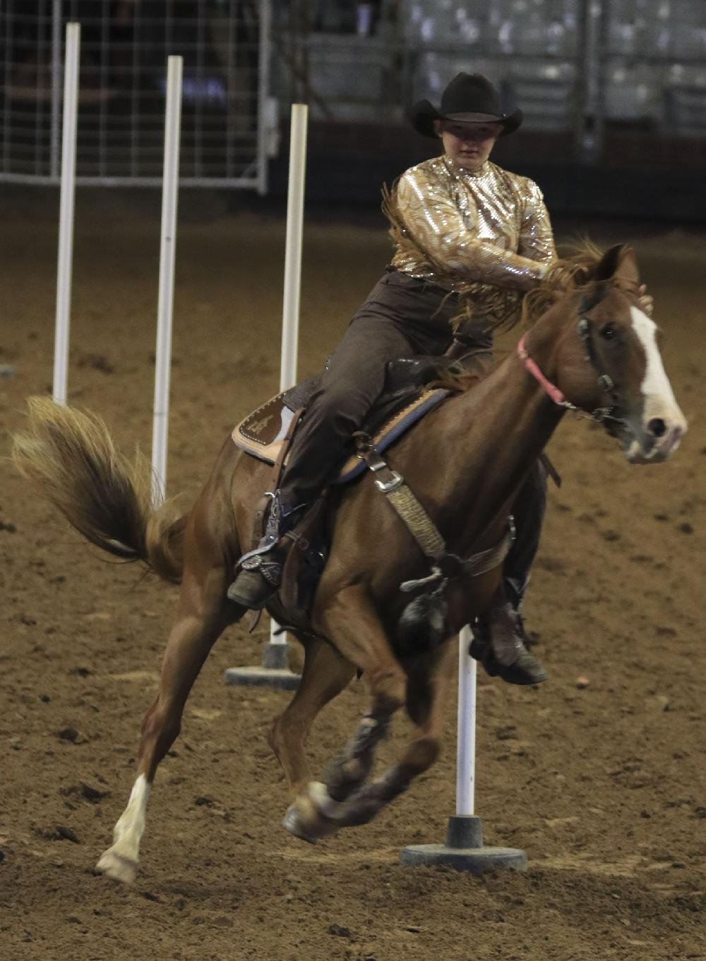 Arkansas State Championship Horse Show Final Day