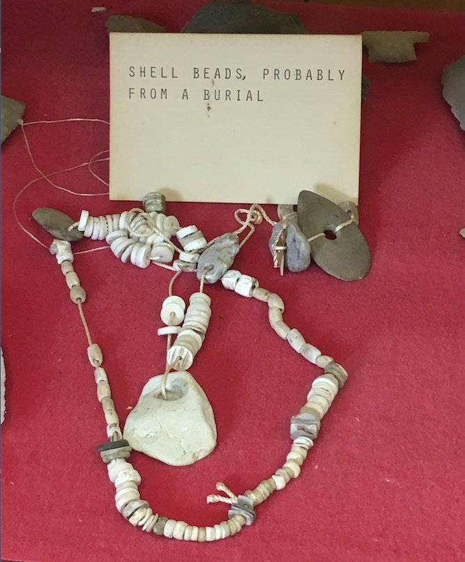 A number of the artifacts in the Drew County Historical Museum and the Desha County Museum come from burials, such as these shell beads, which have probably been restrung with modern string. The excavation of burial sites violates state and federal legislation; most tribal groups find the display of these items disrespectful.