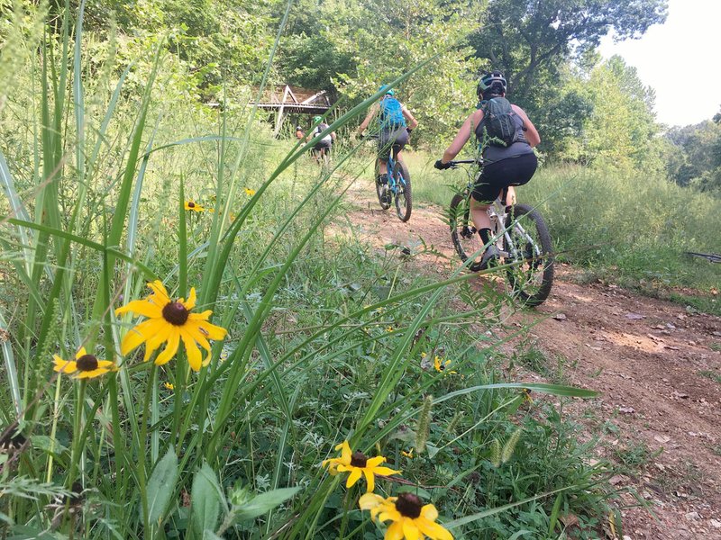 NWA Democrat-Gazette/FLIP PUTTHOFF 
Riders take off on one of several mountain bike trails Sept. 1 2019 that spur off the hard-surface path at Coler Park and Applegate trails in Bentonville.