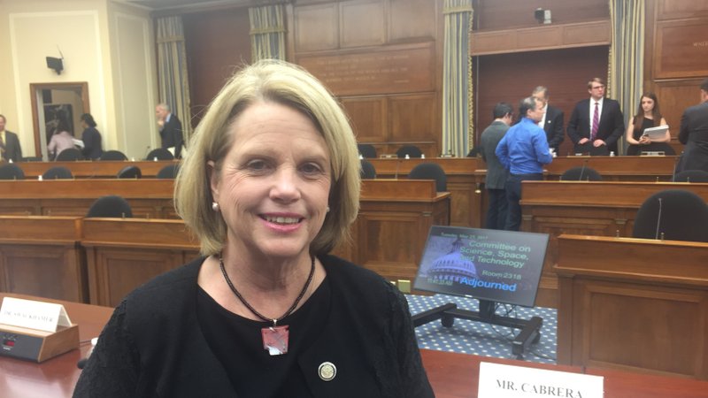 Becky Keogh, secretary of the Arkansas Department of Energy and Environment and previously director of the Environmental Quality Department, is shown in Capitol Hill in this file photo.