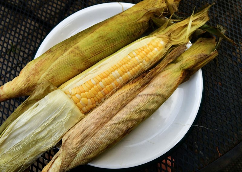 NWA Democrat-Gazette/FLIP PUTTHOFF Sweet corn bought from the back of a pickup truck Aug. 31 2019 is a simple summer pleasure.