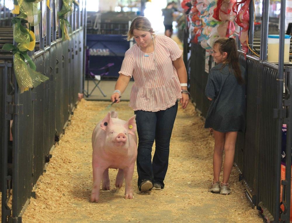 Faulkner County Fair The Arkansas DemocratGazette Arkansas' Best