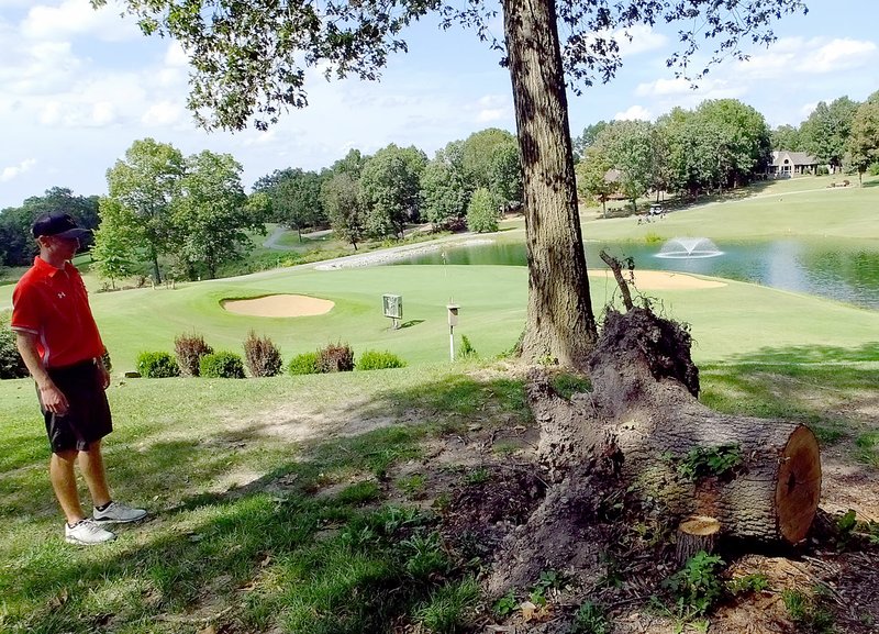 Lynn Atkins/The Weekly Vista High school golfer Rhett South looks at a root ball left after the felled tree was cleaned up on the Highlands Golf Course. Disposing of some 25 root balls, some over over 40 inches in diameter, is a challenge for the golf maintenance department.