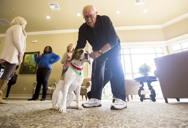 Mel Canode, resident, greets Buckley on Monday, Feb. 22, 2016, inside Mt. Carmel Community in Rogers. Buckley was rescued by the Animal League of Washington County after being shot multiple times by a shotgun.