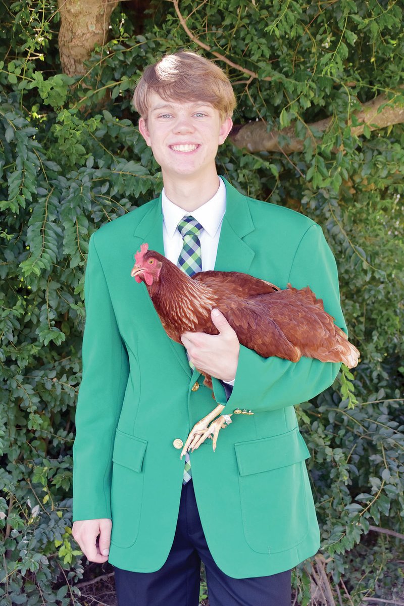 Brent Clark, 17, of El Paso, formerly of Vilonia, holds one of the chickens on his family’s farm. He shows animals at the Faulkner County Fair. Clark was named the state 4-H president at the annual State O’Rama this summer at the University of Arkansas at Fayetteville. The home-schooled senior will spend the year speaking at various events through Arkansas and out of state. His older brother, Travis, was state 4-H president in 2015.