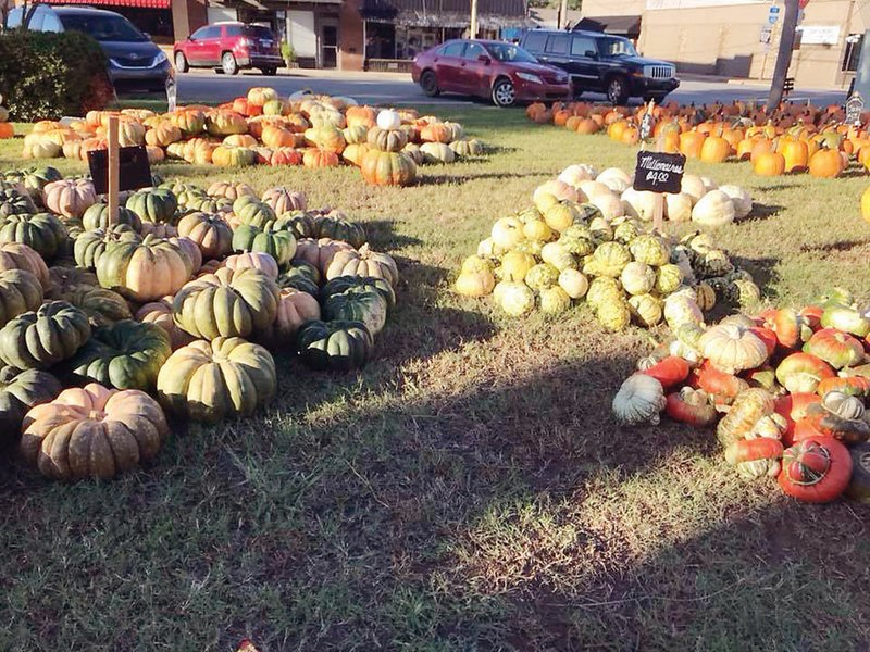 Pumpkins are on display prior to the 2018 Great 5K Pumpkin Run, sponsored by the Open Arms Shelter in Lonoke. This year’s race and pumpkin sale are set for Saturday at the Lonoke Depot.