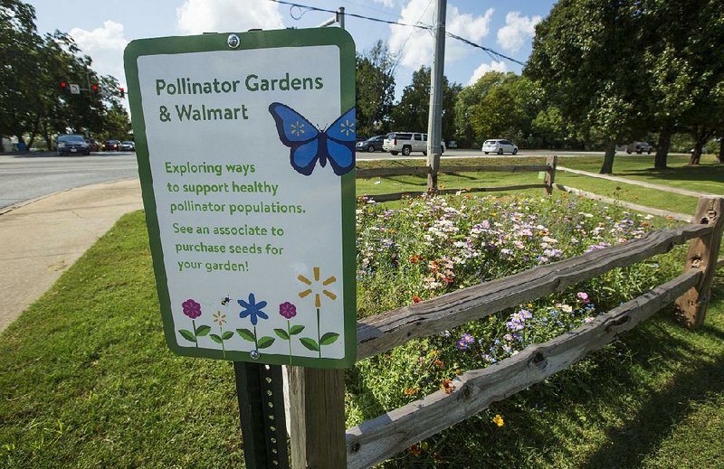 A garden planted with wildflowers attracts butterflies and other insects earlier this month at Walmart’s headquarters in Bentonville. The retailer’s pollinator garden pilot program now includes about 20 gardens around the country. 