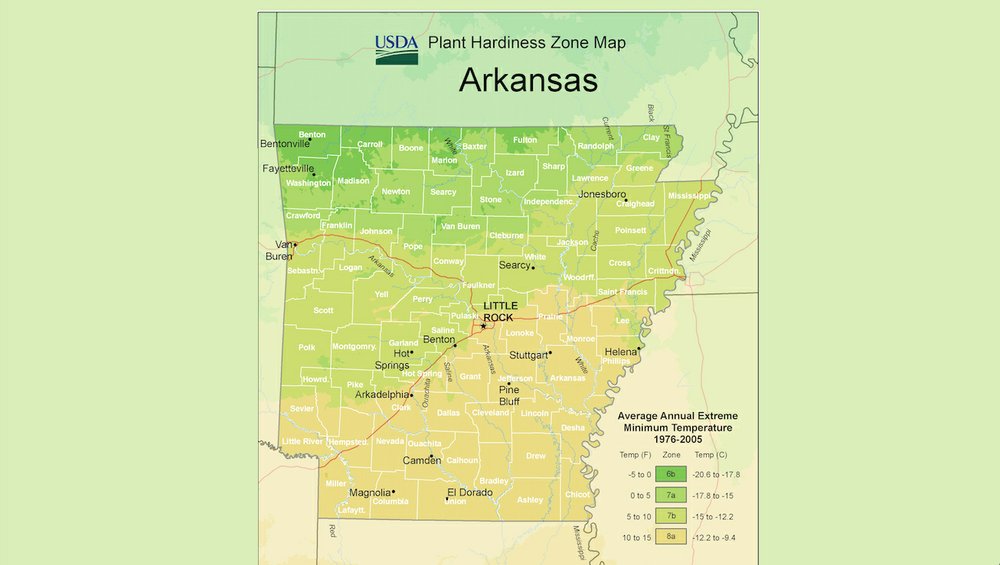 In October Arkansas Gardeners Need To Stay On Top Of Watering 8375