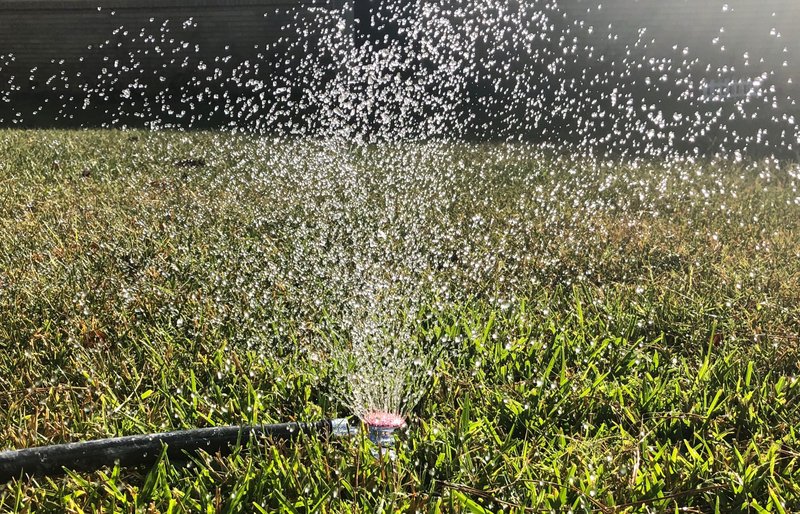Arkansas Democrat-Gazette/CELIA STOREY Conditions are too dry in October 2019 for gardeners to neglect watering without worry.