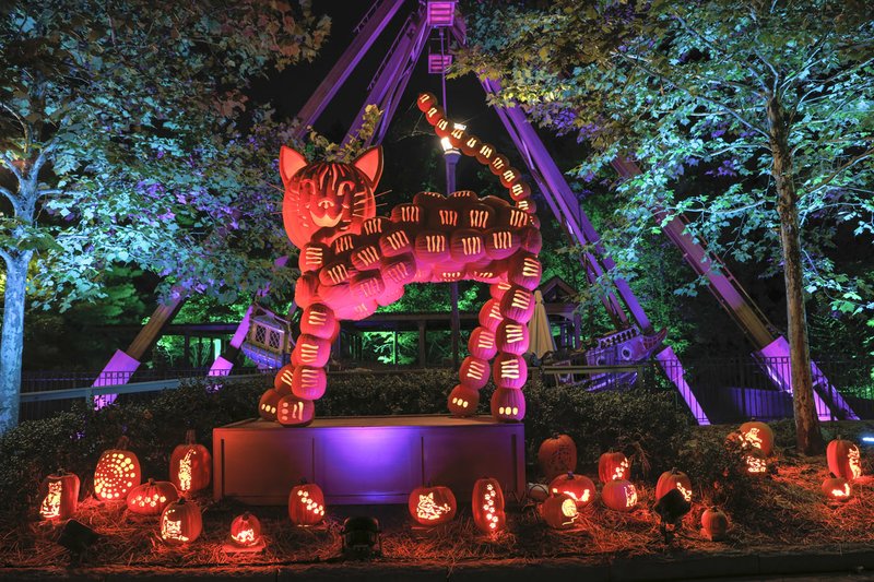 Photo Courtesy Silver Dollar City One of the giant "icons" that will greet visitors to Pumpkin Nights is a cat, which Silver Dollar City staffers have nicknamed Felicia.