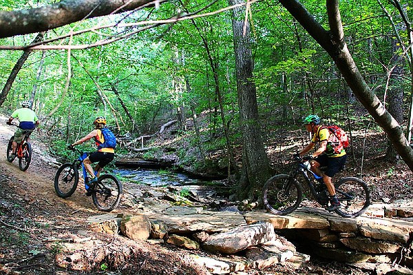 Enduro bicycle race set for Mount Nebo | Northwest Arkansas Democrat-Gazette - Vimarsana News