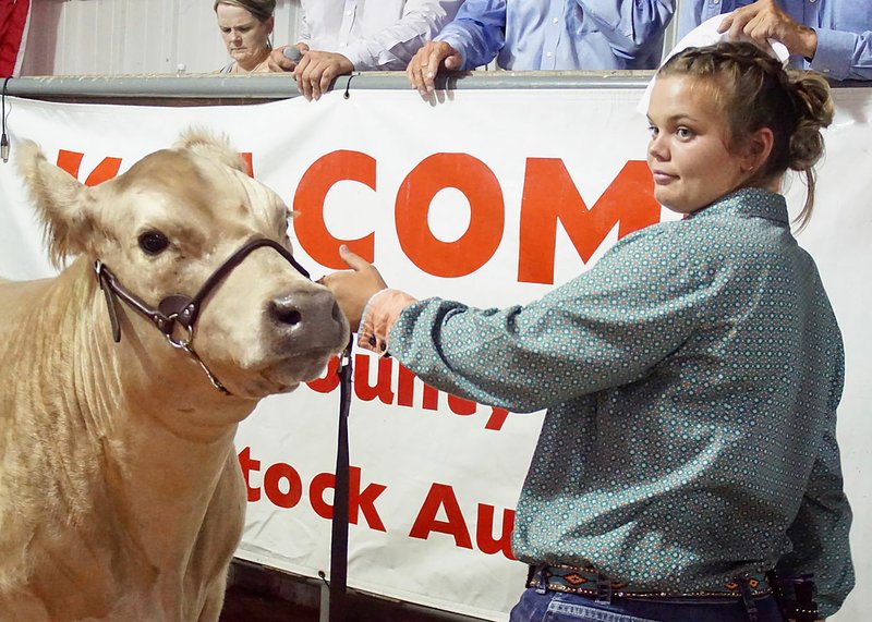 Kassandra Tajchman, of the Gravette Gleamers 4-H club, shows her animal at the premium auction in the county fair.