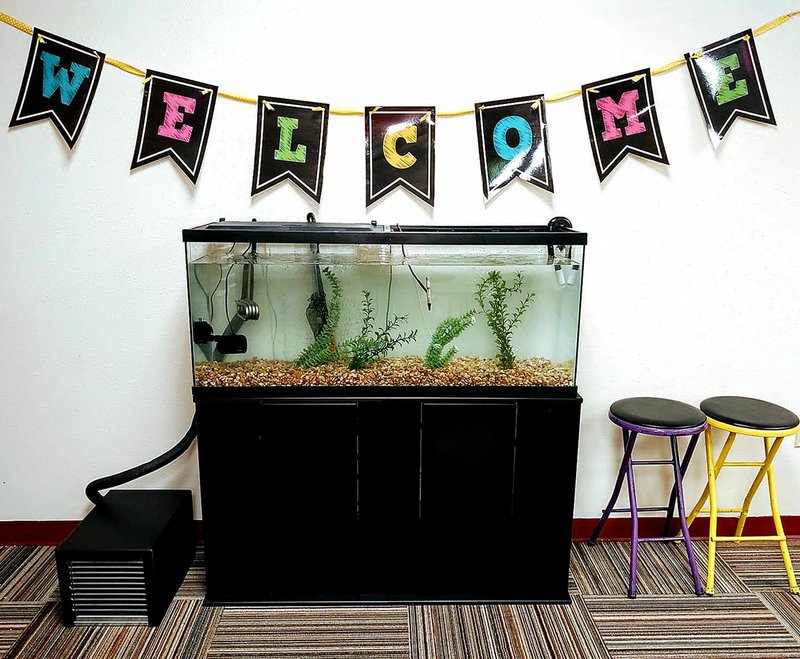Photo submitted An aquarium waits for trout eggs in a classroom at Cooper Elementary School. It's part of a program offered by Trout Unlimited.