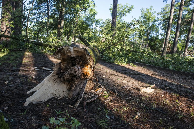 A June 23, 2019, Banner-News file photo shows storm damage in Magnolia after a batch of harsh summer storms.
