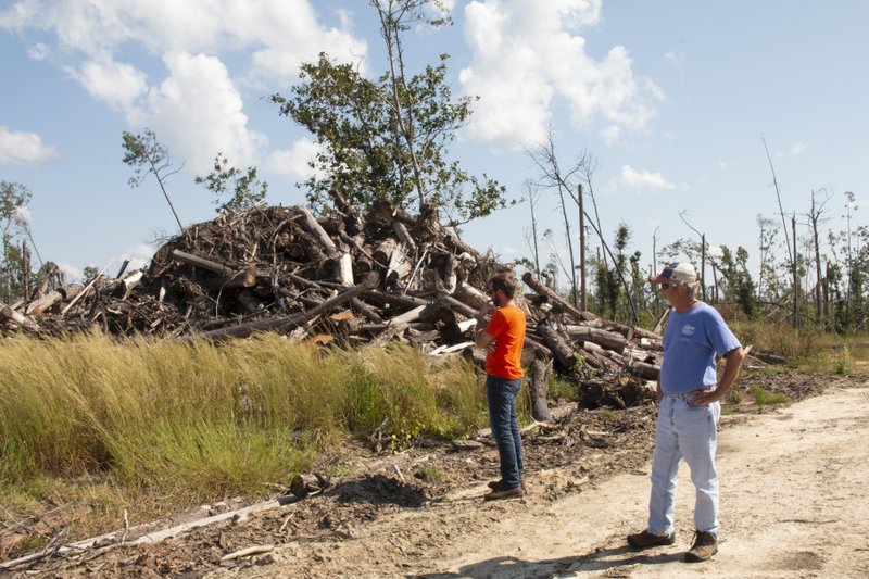 In this Oct. 5, 2019 photo, Daniel Leonard and his father Joe, right, stand near a heap of lumber on their family's property. The massive storm killed more than two dozen people in northern Florida, destroyed hundreds of homes and brought catastrophic damage to the region's timber industry. (AP Photo/Bobby Caina Calvan)