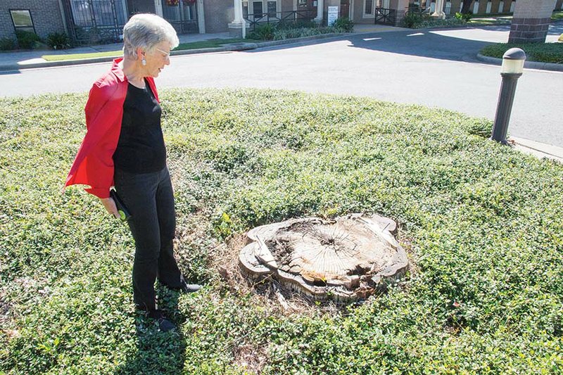 First United Methodist Church member Cecilia Patterson looks at the spot where the 9-foot-tall shepherd and lambs stood for seven years. The statue, carved in 2012 by Iowa chain-saw artist Gary Keenan, had interior damage and fell. No termites were spotted, however, Patterson said.