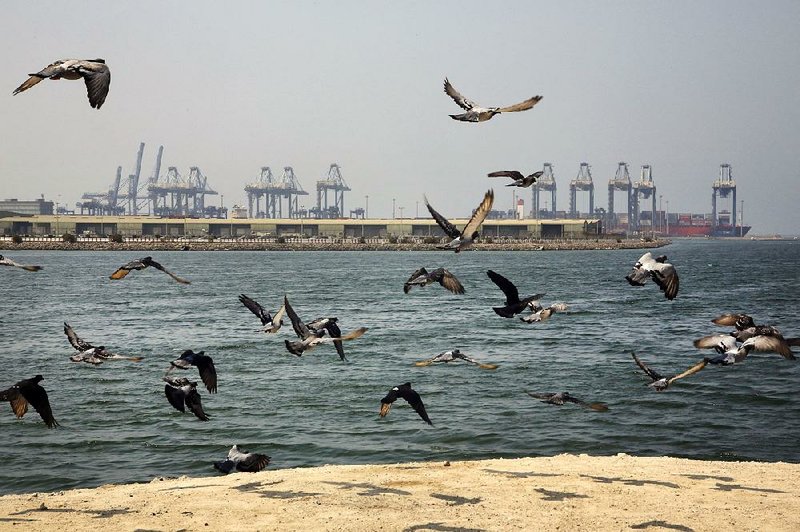 Seagulls flock Friday at the Red Sea port city of Jiddah, Saudi Arabia. The circumstances surrounding explosions aboard an Iranian oil tanker traveling the Red Sea remained murky Friday.
