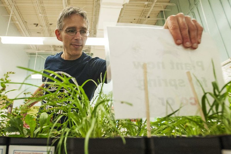 Audubon Arkansas Bird Conservation Director Dan Scheiman labels plants for the Native Plant Market being held at the Little Rock Audubon Center. 