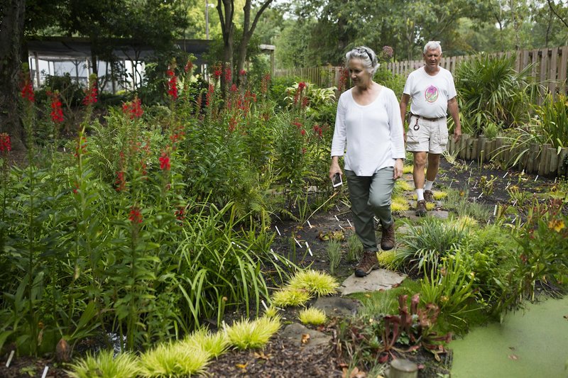 Tony Avent and his wife, Anita, walk through the display beds at Plant Delights Nursery and Juniper Level Botanic Garden. After decades of collecting, he has amassed approximately 26,000 species and varieties, a number greater than those in many public botanical gardens in the country. (Photo for The Washington Post by Madeline Gray)