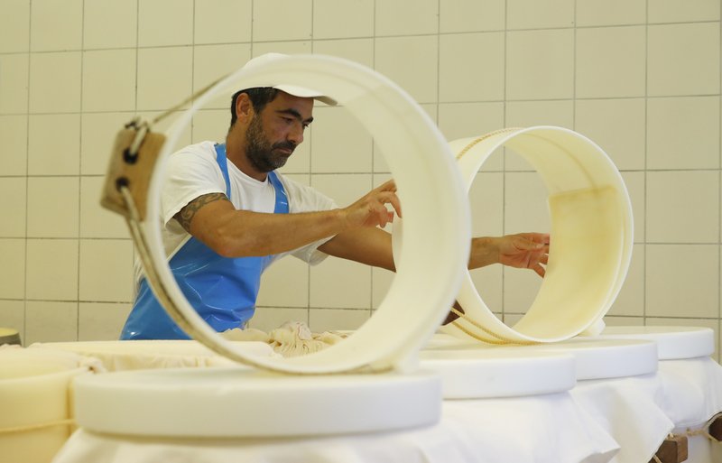 In this photo taken Tuesday, Oct. 8, 2019, Parmigiano Reggiano Parmesan cheese wheels are created in Noceto, near Parma, Italy. U.S. consumers are snapping up Italian Parmesan cheese ahead of an increase in tariffs to take effect next week. The agricultural lobby Coldiretti on Friday, Oct. 11, 2019, said sales of both Parmigiano Reggiano and Grana Padano, aged cheeses defined by their territory of origin, have skyrocketed by 220% since the higher tariffs were announced one week ago. (AP Photo/Antonio Calanni)