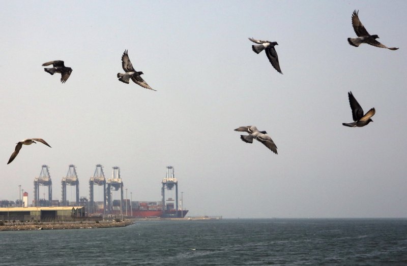 Seagulls fly over the Red Sea port city of Jiddah, Saudi Arabia, Friday, Oct. 11, 2019. Iranian officials say two missiles struck an Iranian tanker traveling through the Red Sea off the coast of Saudi Arabia. (AP Photo/Amr Nabil)