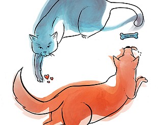 Science: Cat-human bond is as strong as the dog-human bond ...