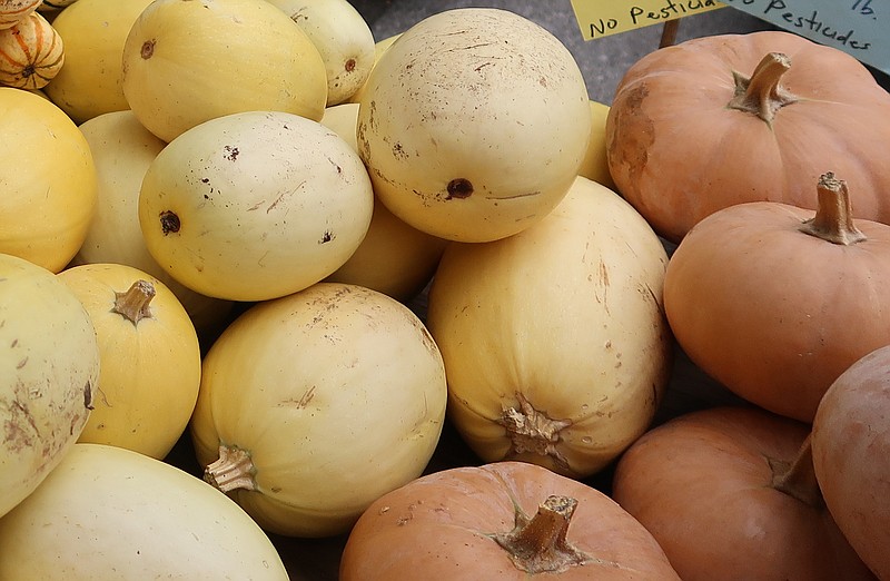 Pale yellow spaghetti squash (left) have stringy flesh cooks liken to spaghetti, and Butterkin squash (right) tastes like a cross between butternut squash and pumpkin. (Special to the Democrat-Gazette/JANET B. CARSON)