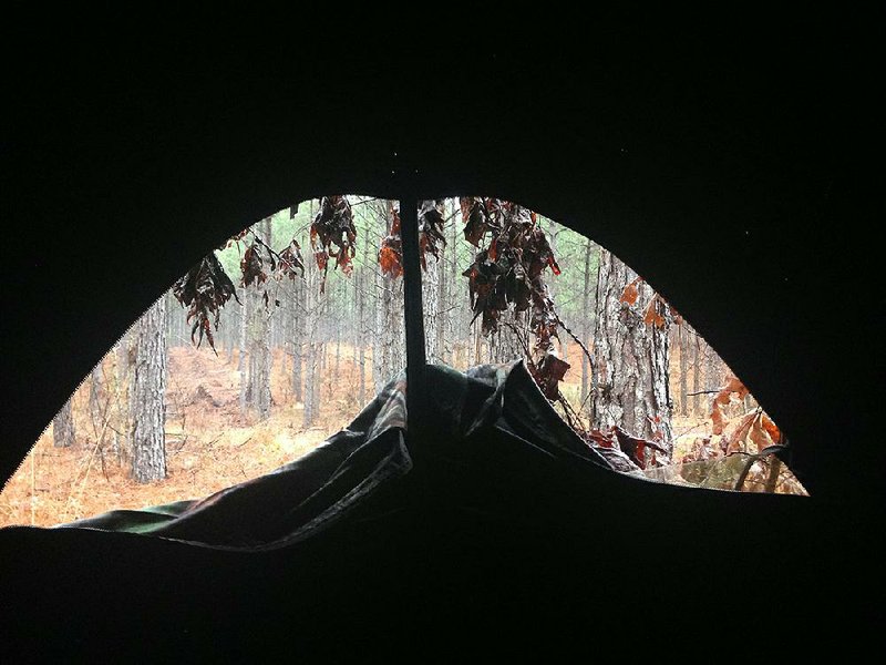 If you haven’t had time to inspect your elevated stands for safety, don’t take a chance on a failure. Hunting from a pop-up blind can be very effective in muzzleloader season. 