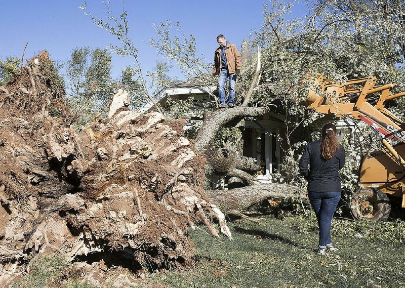 Tony Daniels of Rogers climbs a large tree that had toppled Monday over the home of his friend Scott Jones in Cave Springs. More photos are available at arkansasonline.com/1022storm/ 