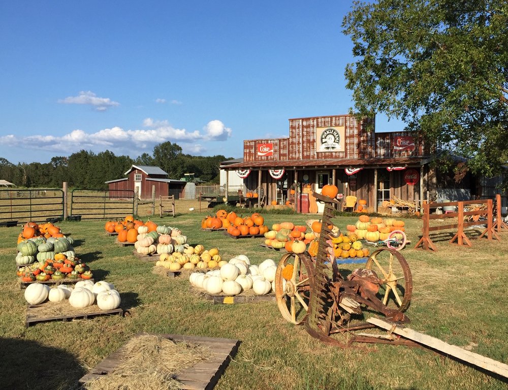 A miracle of a farm Bodcaw’s own little slice of rural paradise